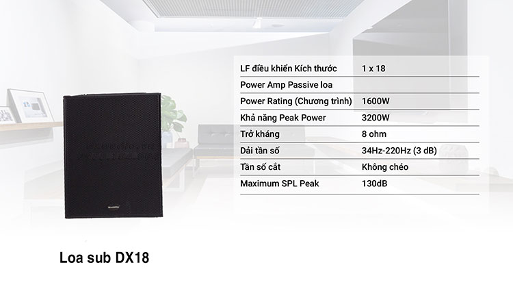 Loa sub DX18 sử dụng lắp đặt âm thanh hội trường tại Quảng Bình, dàn âm thanh hội trường 