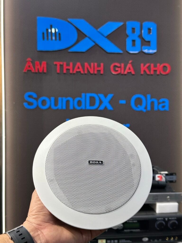 mặt trước Loa Bosa BS-801LY