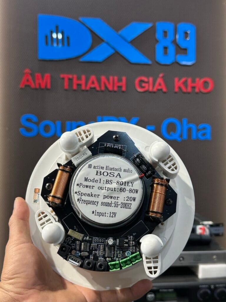 mặt sau Loa Bosa BS-801LY